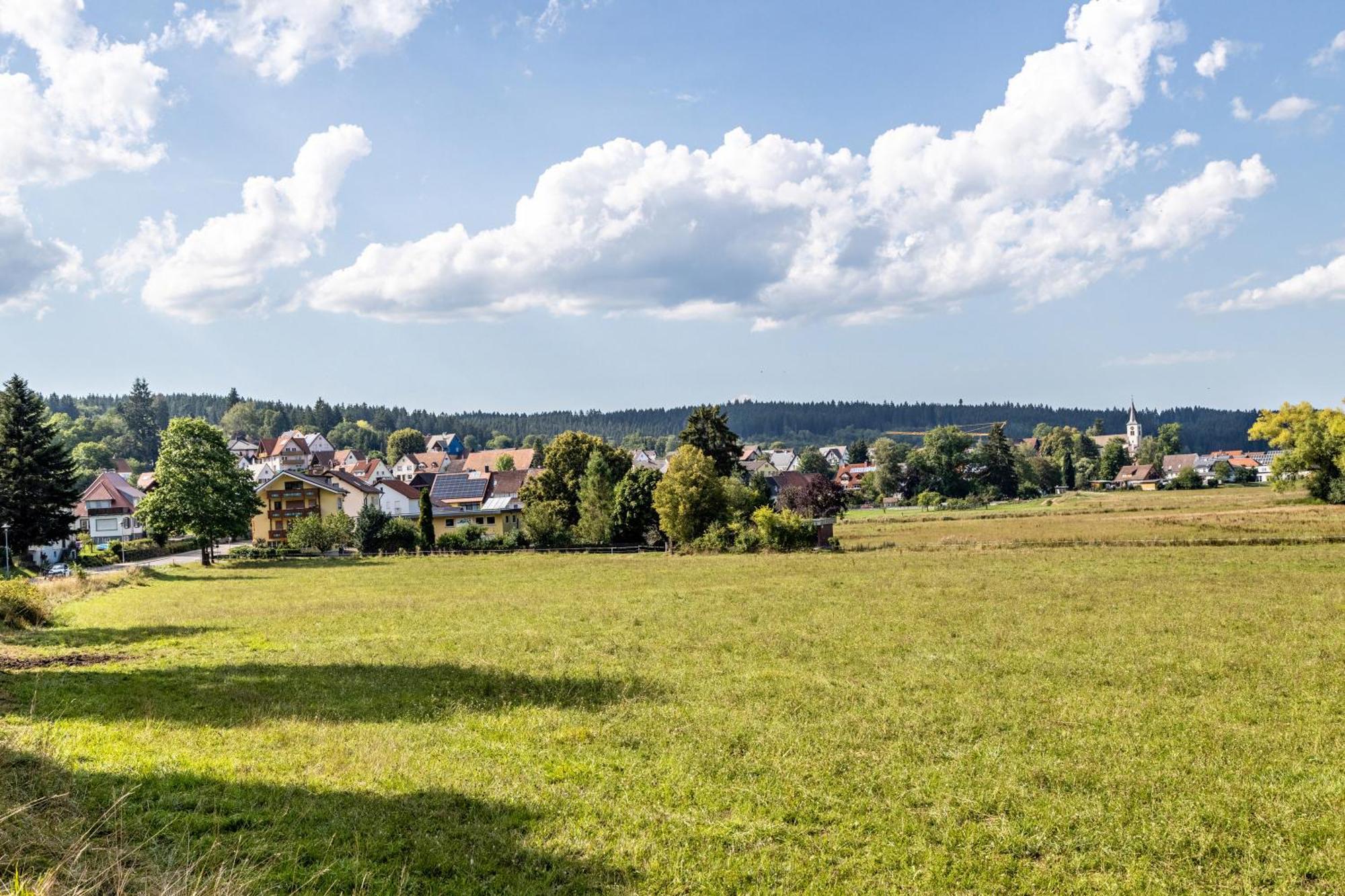 Eule Apartment Donaueschingen Bagian luar foto
